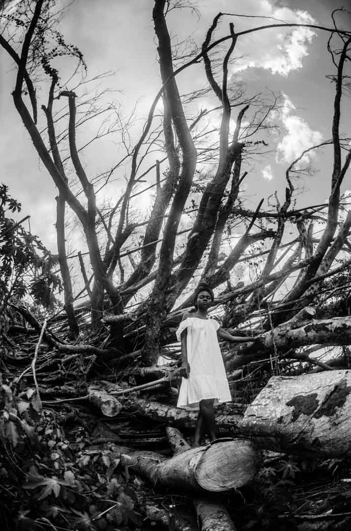 A young Black woman stares into the camera while she stands among trees destroyed by the storm in David Berg's black-and-white photograph, Regrowth II